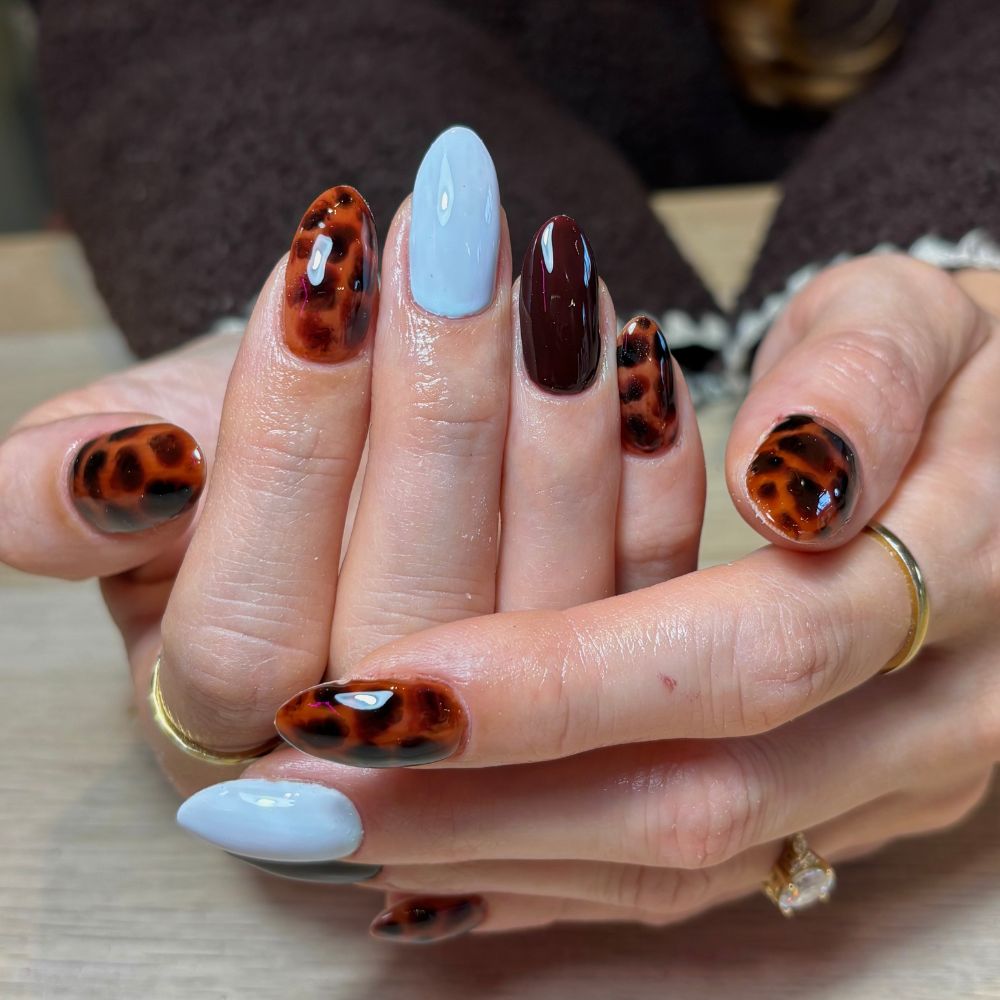 Brown oval tortoiseshell nails, with alternating baby blue and chocolate brown nails