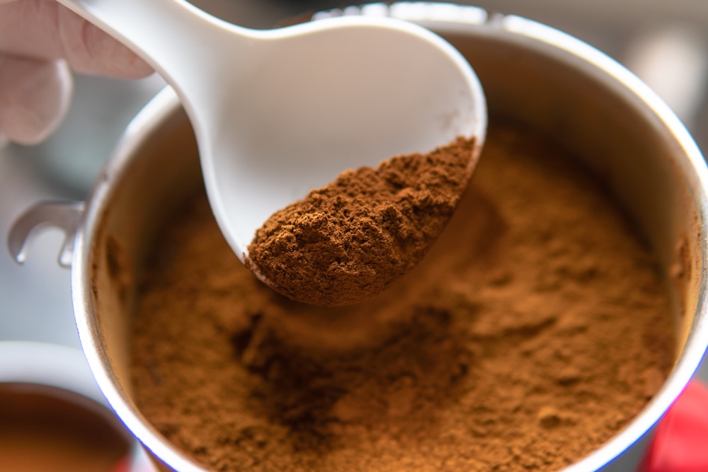 Chaga mushroom powder used to illustrate functional mushroom trends in wellness and beauty