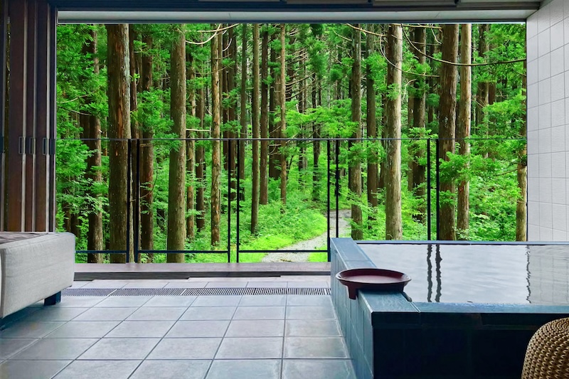 Indoor spa hot pool with forest views reflecting nature-led wellness trends for 2026