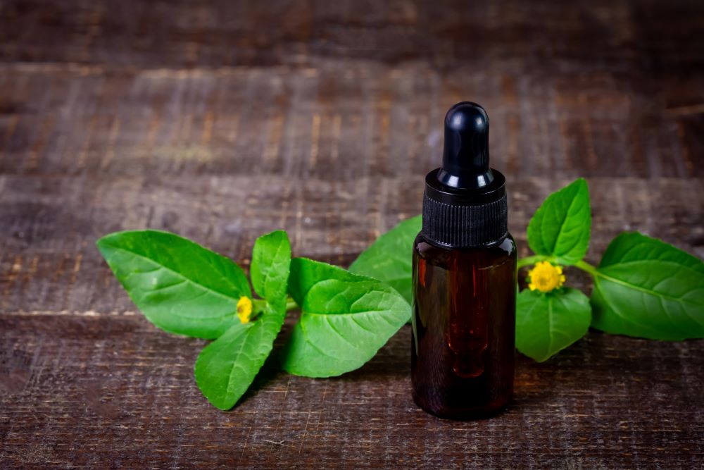 Spilanthes acmella plant leaves and flowers beside a serum bottle on a wooden surface.